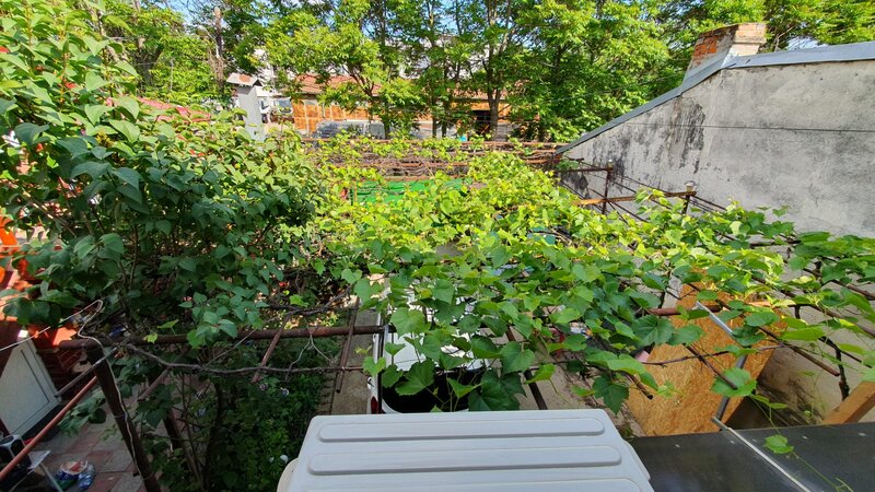 Drumul Taberei, Raul Doamnei