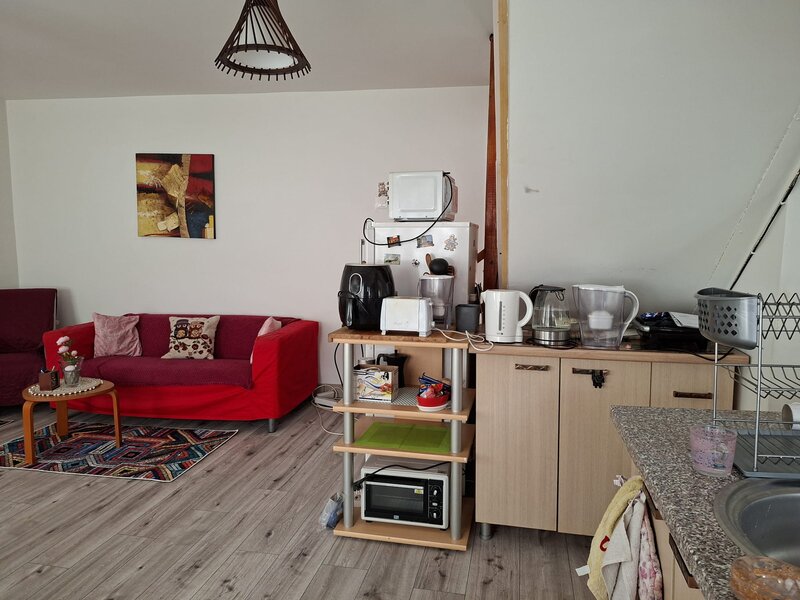 Drumul Taberei, Raul Doamnei